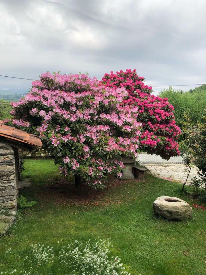 Villa Ma Maison Art Brovello-Carpugnino Exterior foto